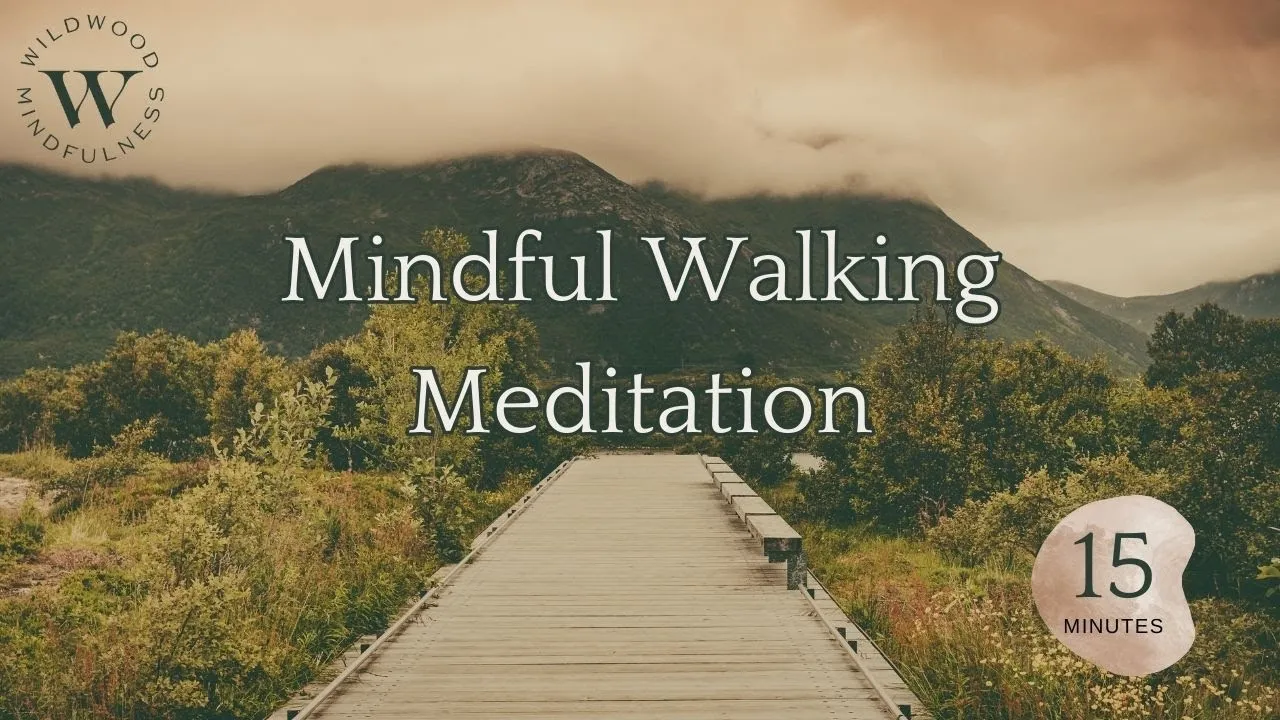 Mindful walking meditation in forest